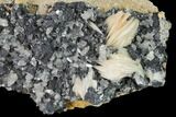 Cerussite Crystals with Bladed Barite on Galena - Morocco #165741-1